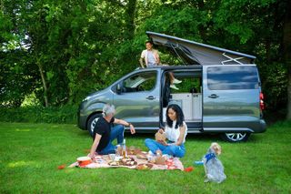 A group of people enjoying the van and a picnic