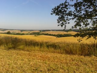 A view of a lovely field in the Meon Valley