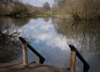 A large pond surronded by woodland